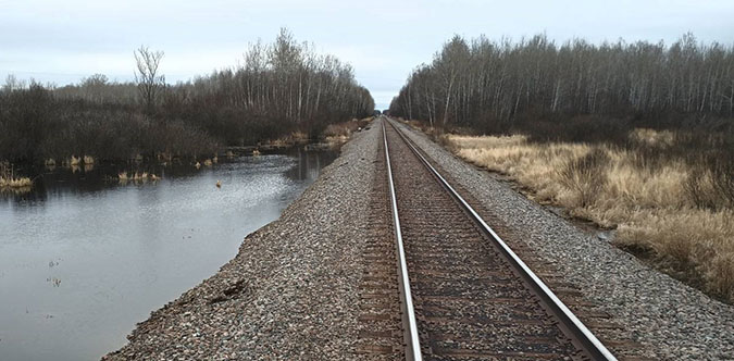 Water can’t drain due to culverts being blocked by beaver dams. 